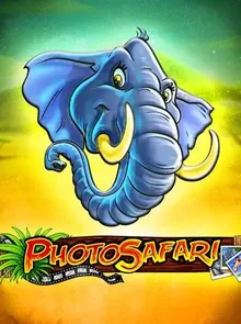 Photo Safari